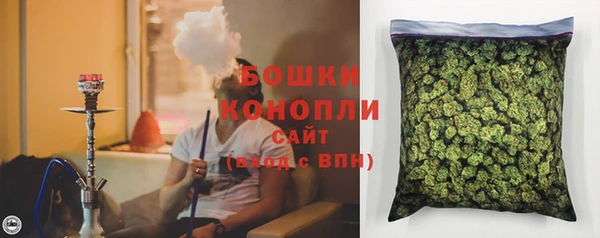 apvp Аркадак