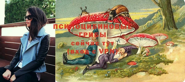 apvp Аркадак